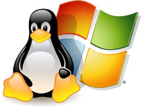 Servidor Linux o Windows